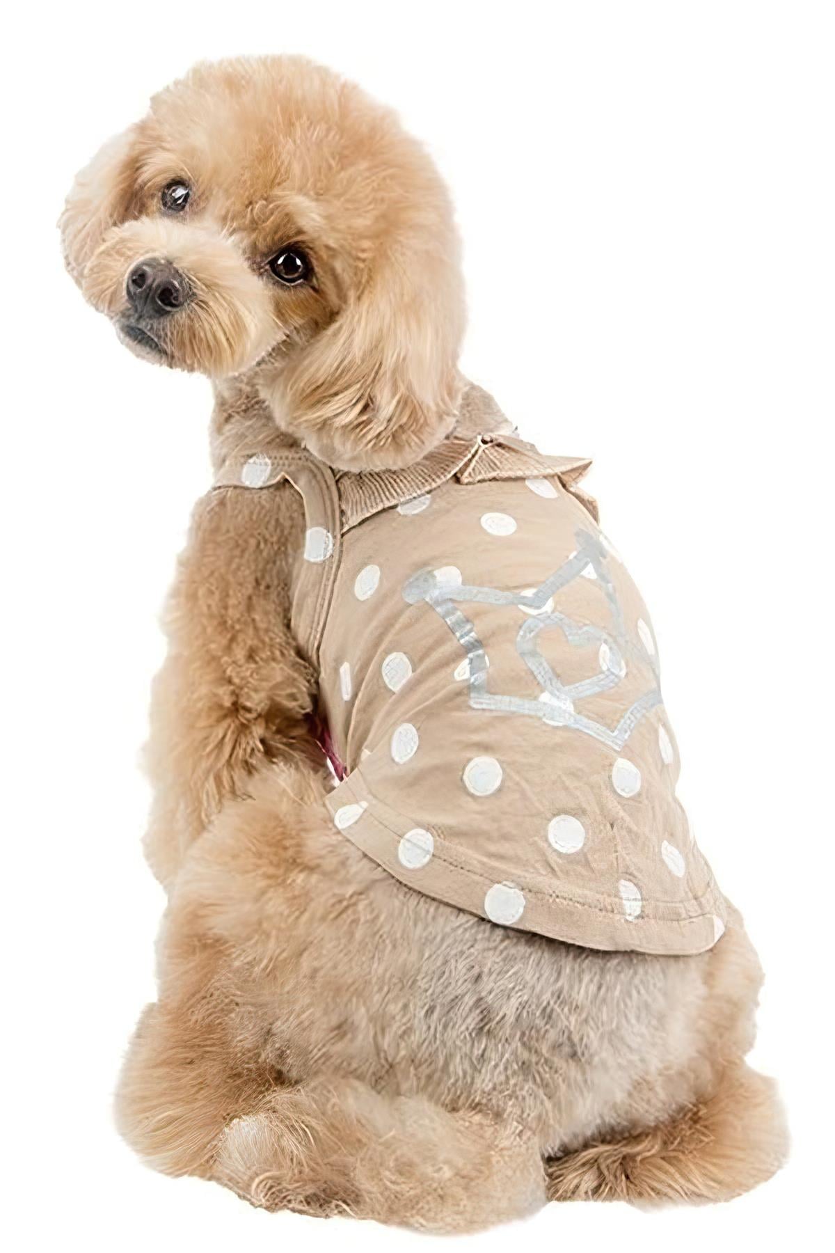 Pinkaholic Sassa Köpek T-Shirt Bej