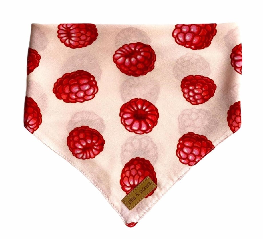 Pits&Paws Raspberry Köpek Bandanası