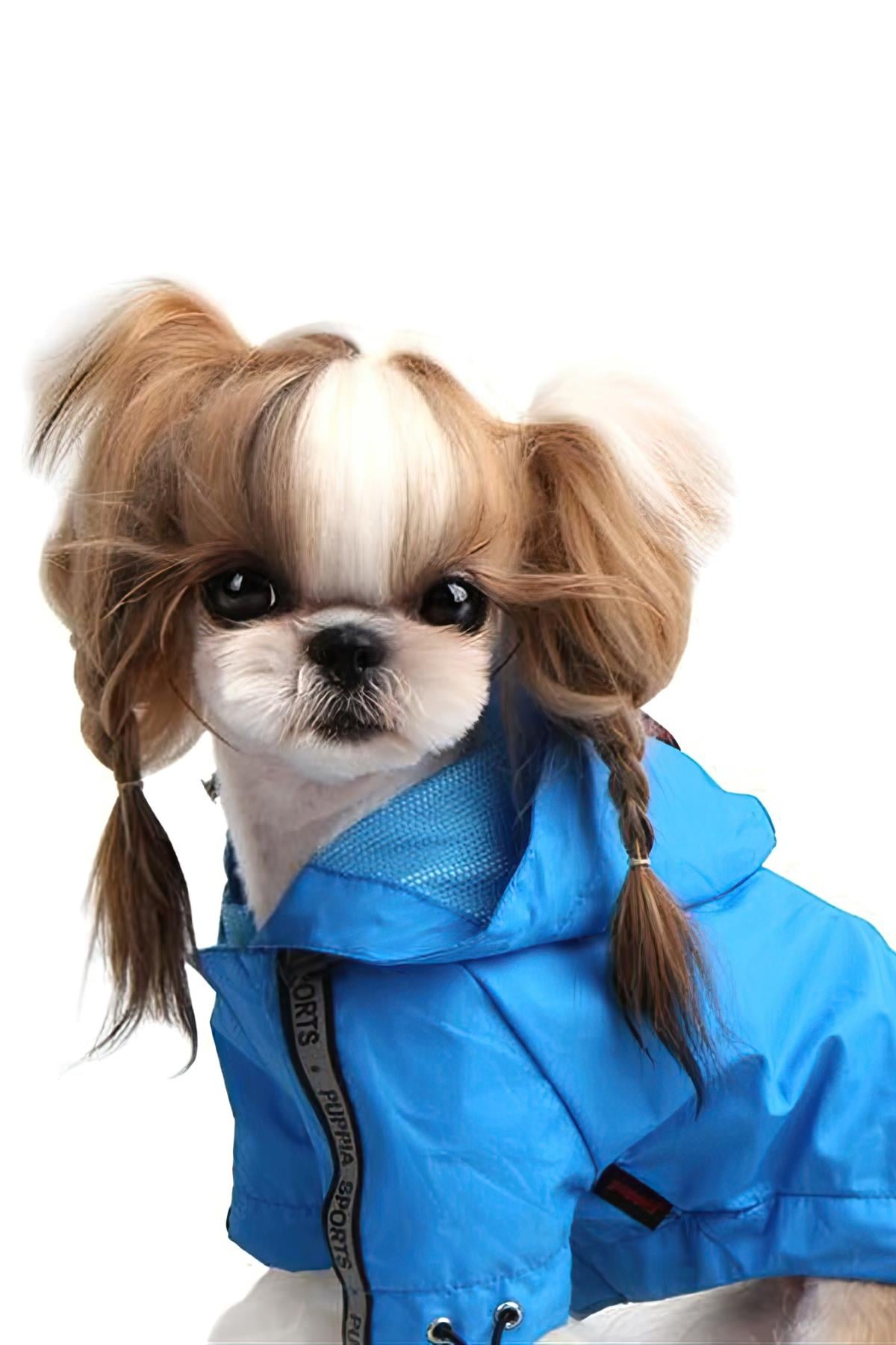 Puppia Base Jumper Dog Raincoat Blue