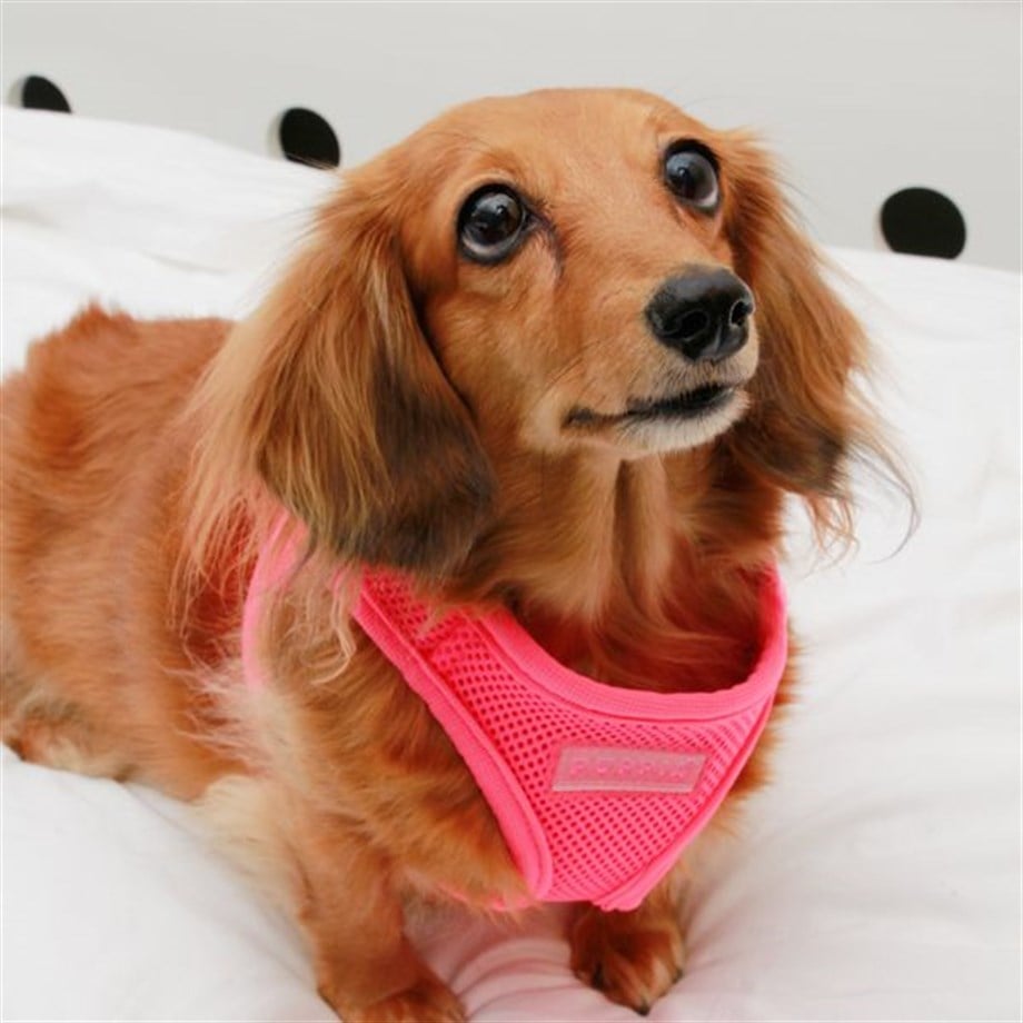 Puppia Neon Soft Vest Dog Tasma Pink