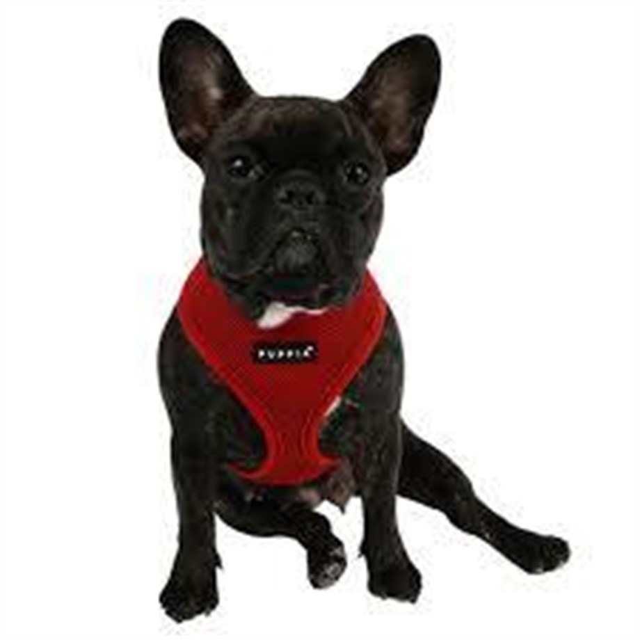 Puppia Soft Dog Tasma Wine