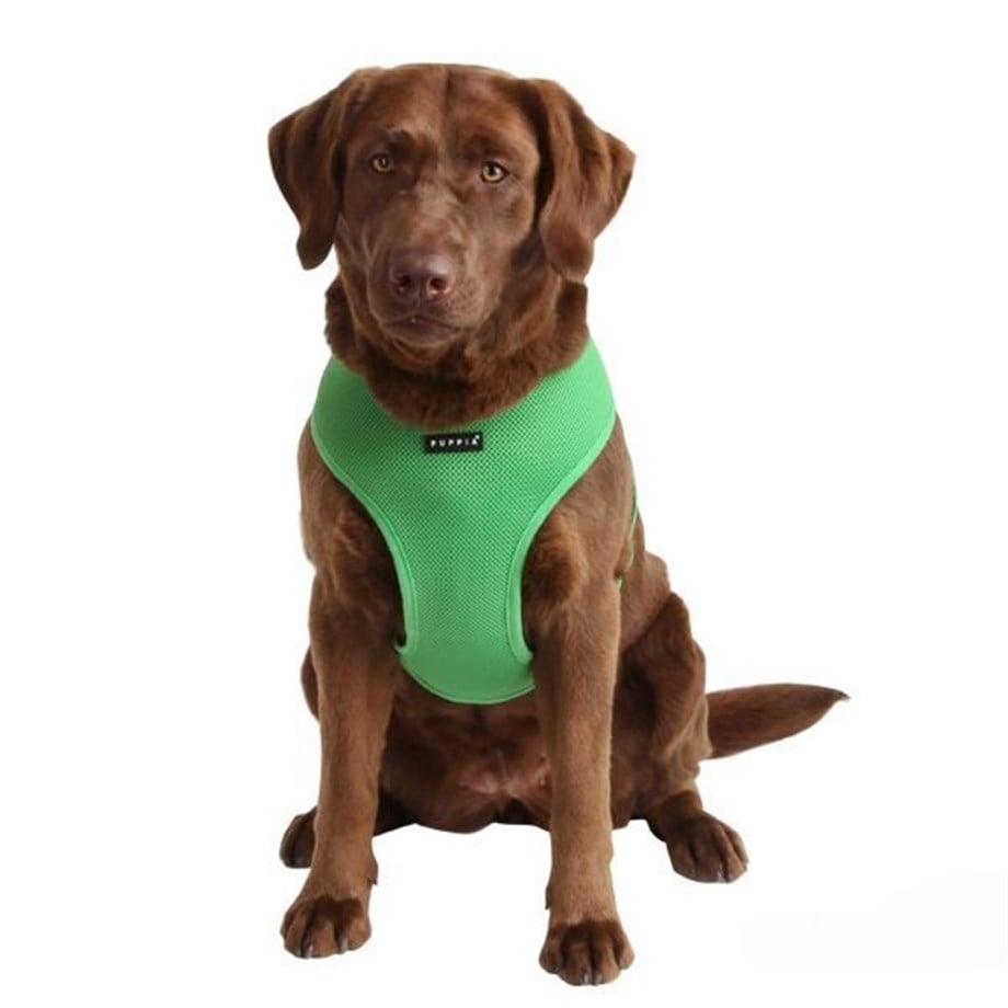 Puppia Soft Dog Bowl Green
