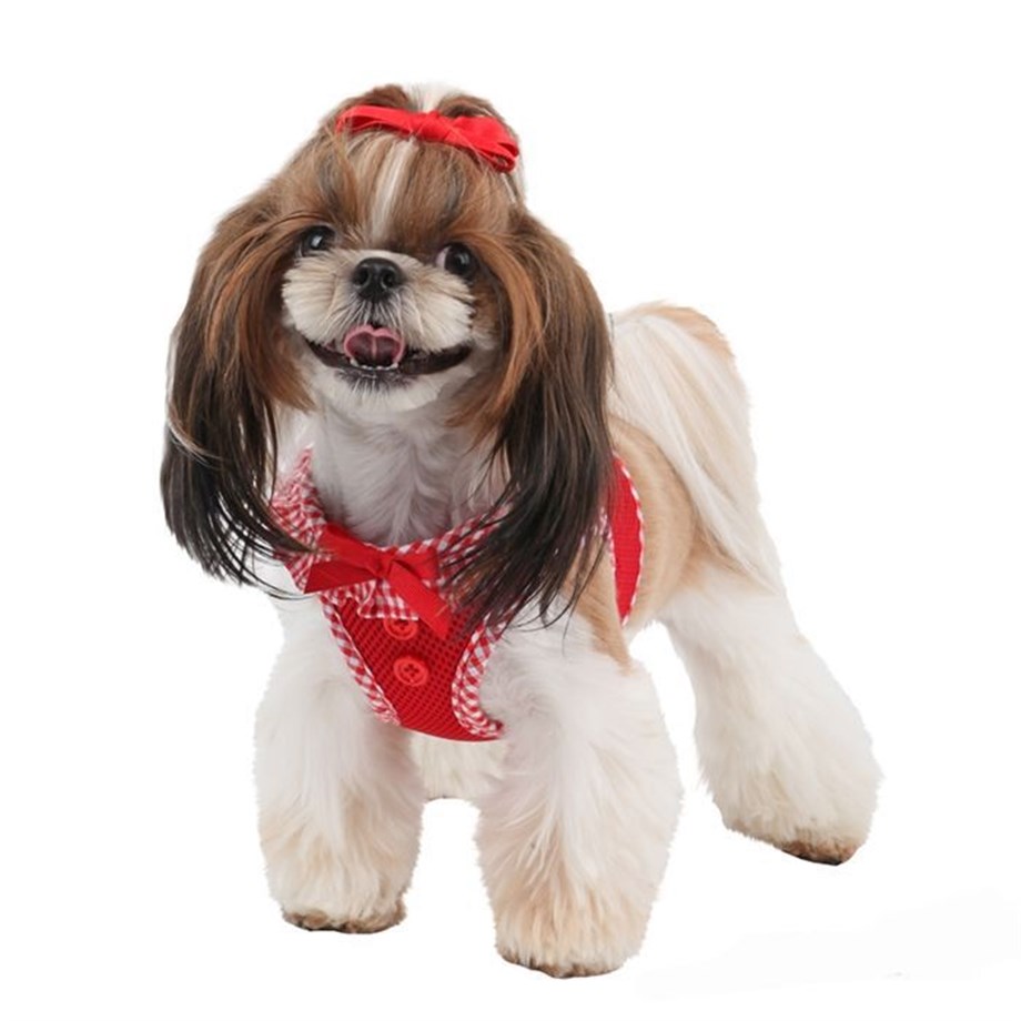 Puppia Vivien Vest Tasma Kırmızı