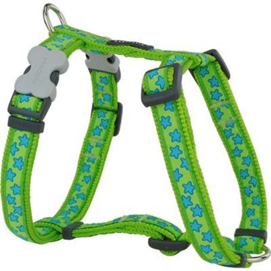 Red Dingo Star Star Star Patterned Dog Breast Station Green