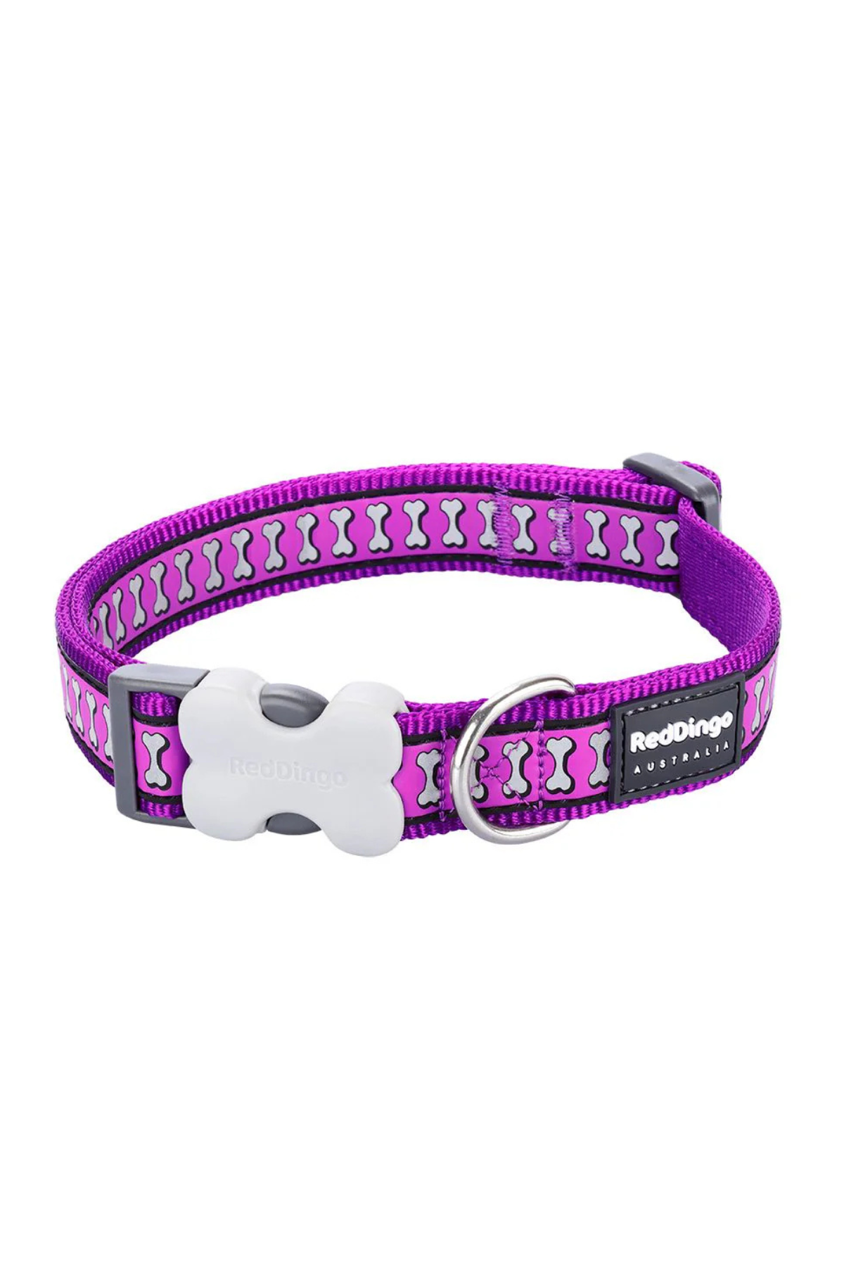 Reddingo Reflektörlü Kemik Desenli Mor Köpek Boyun Tasması Large