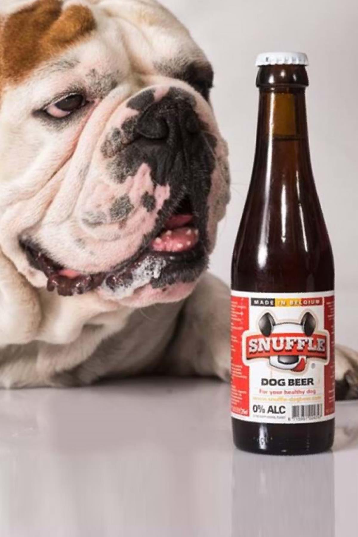 snuffle-dog-bira-karisik-sise-25cl-9ae-41.jpg