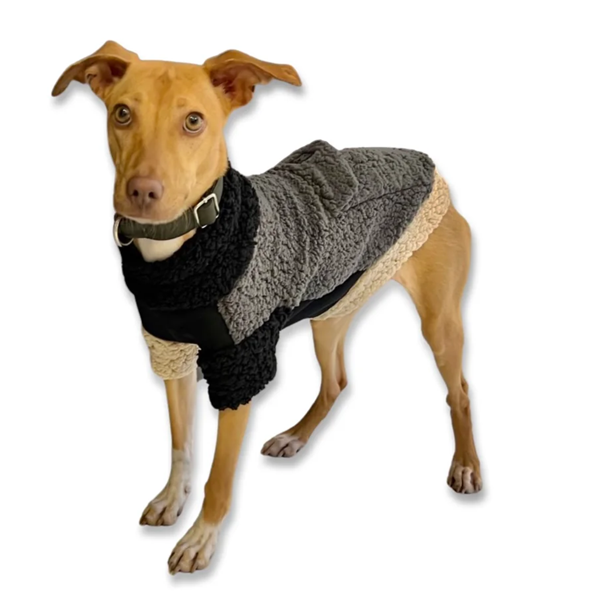 St. Pia Hiker Fleece Köpek Kazağı