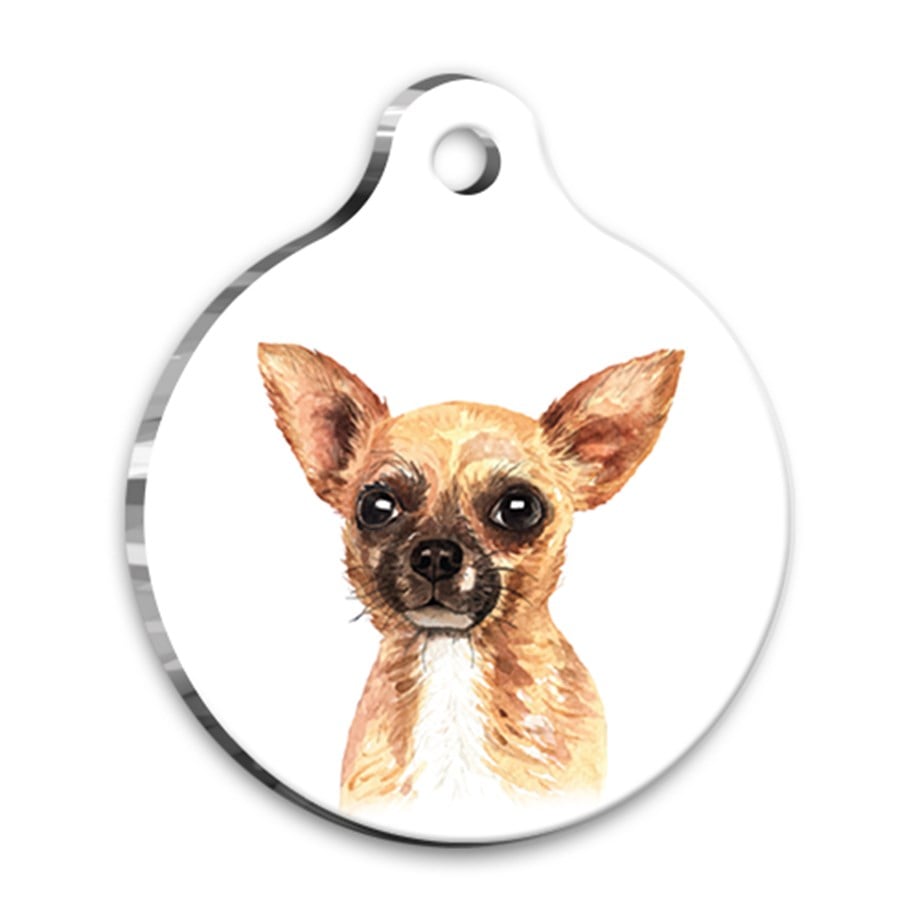 Suluboya Chihuahua Yuvarlak Köpek Künyesi