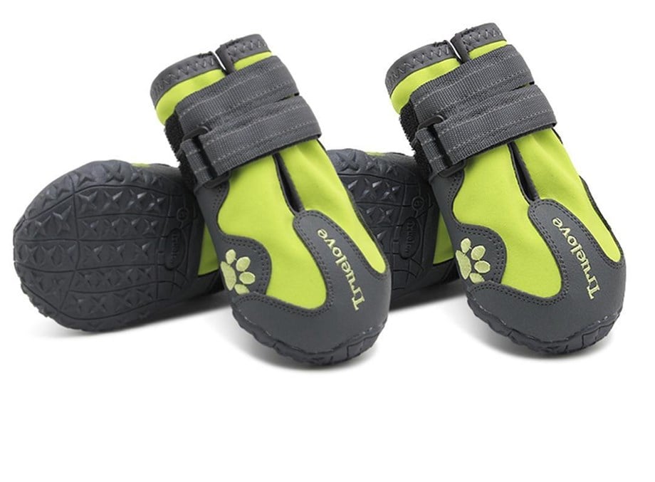 Truelove Suya Dayanıklı Nefes Alabilen Neon Yellow Köpek Ayakkabısı