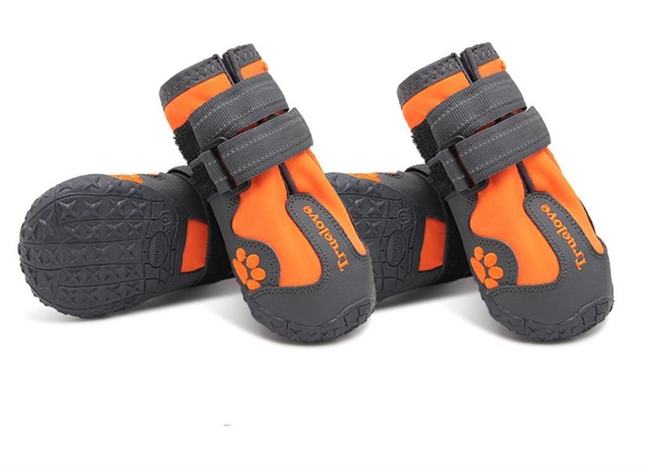 Truelove Suya Dayanıklı Nefes Alabilen Neon Turuncu Köpek Ayakkabısı