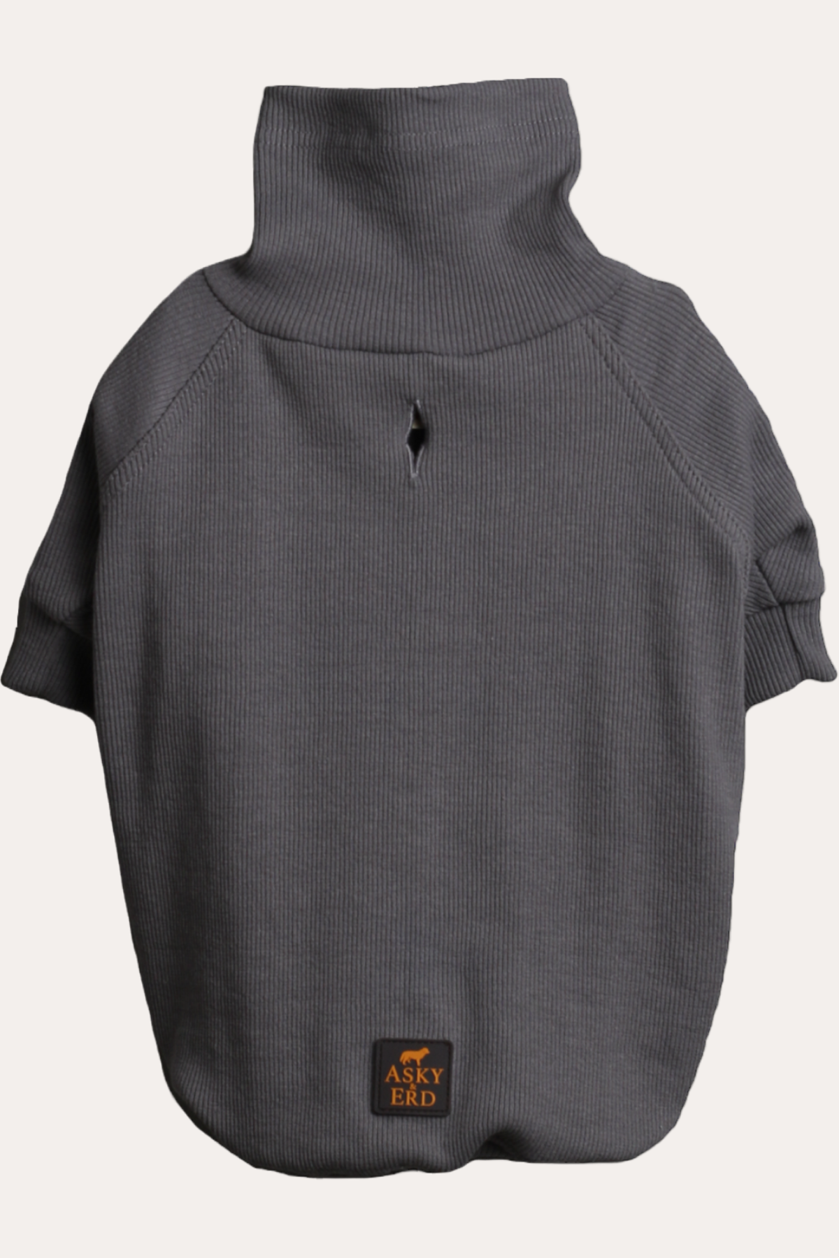 turtleneck-tshirt-coin-9480-2.png