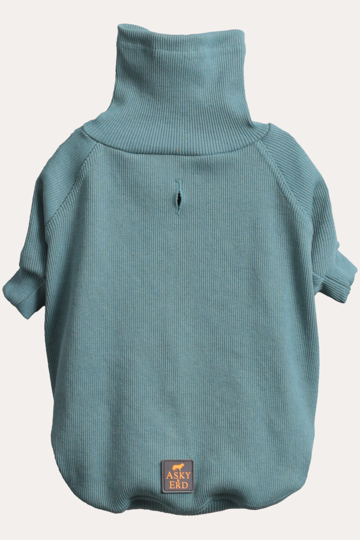 turtleneck-tshirt-ocean-sage-5ea88a.png