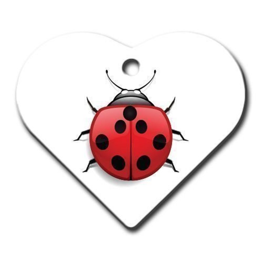 Ladybug