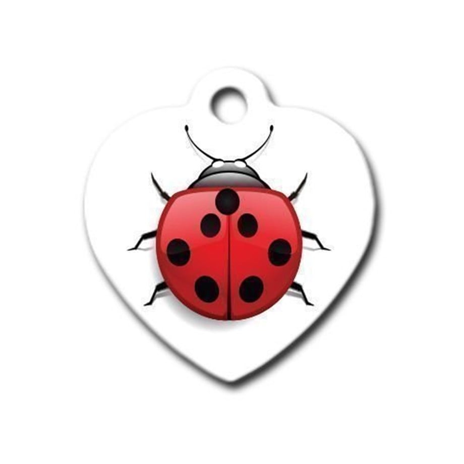 Ladybug