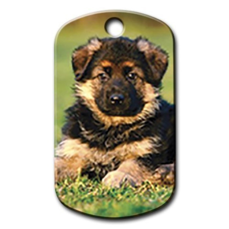 Puppy German Wolf Illustrated Dog Tag