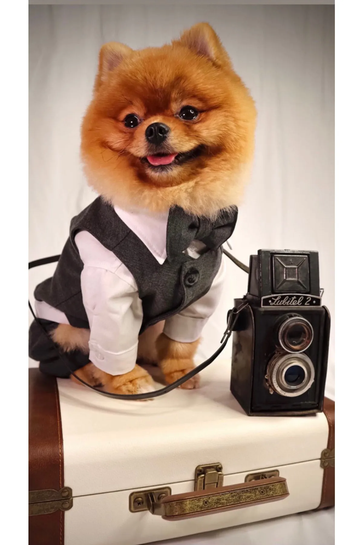 ZiggyDog Köpek Kıyafet Takım Elbise Gri