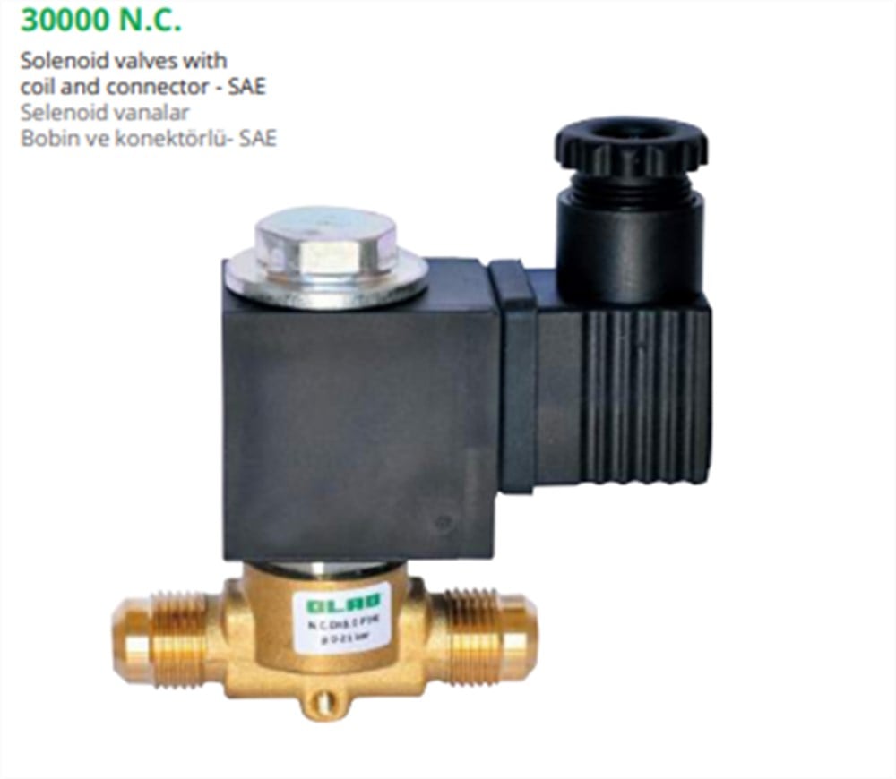 OLAB Solenoid Vana Pilot Flanşlı (Bobinli) 30220 F 04 12,5 A