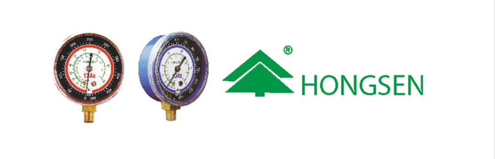Hongsen Manometre 201 H (R22) 80 mm