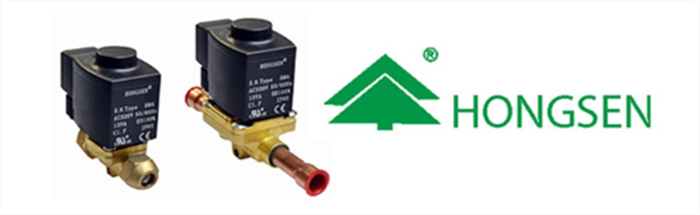 Hongsen Rakorlu Solenoid Valfler HV 3-2 1/4