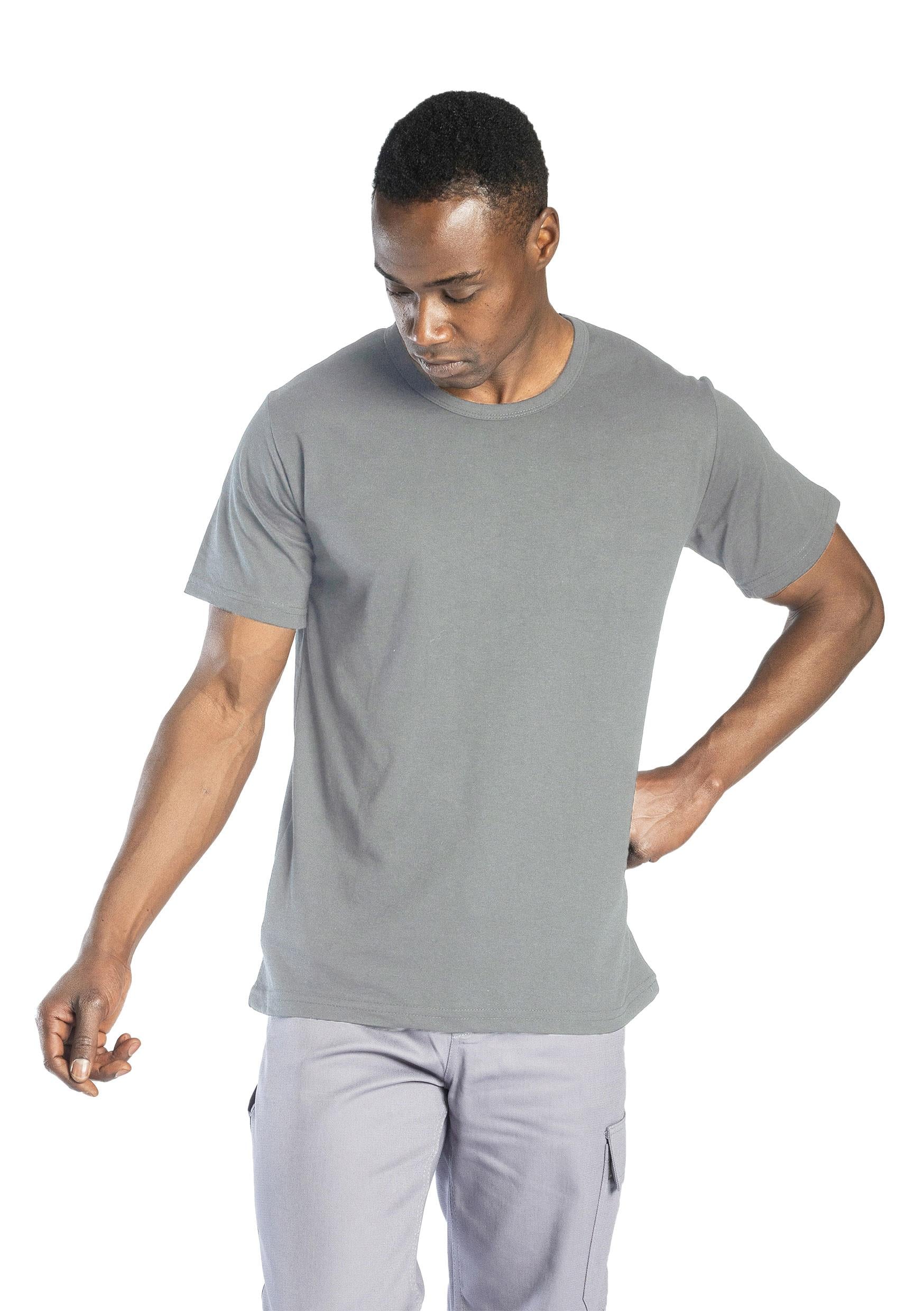 Regular Basic Bisiklet Yaka T-Shirt Gri