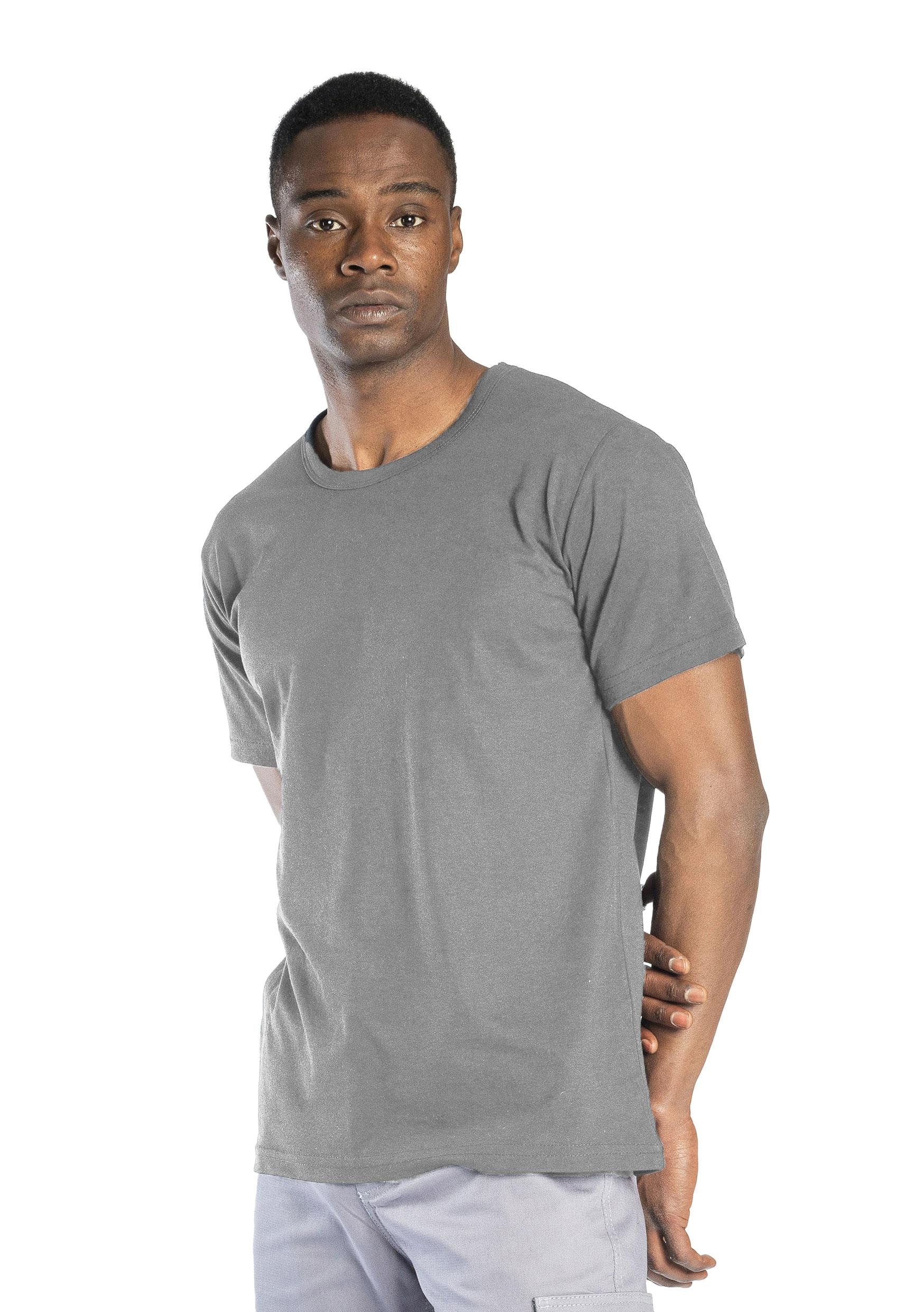 Regular Basic Bisiklet Yaka T-Shirt Gri