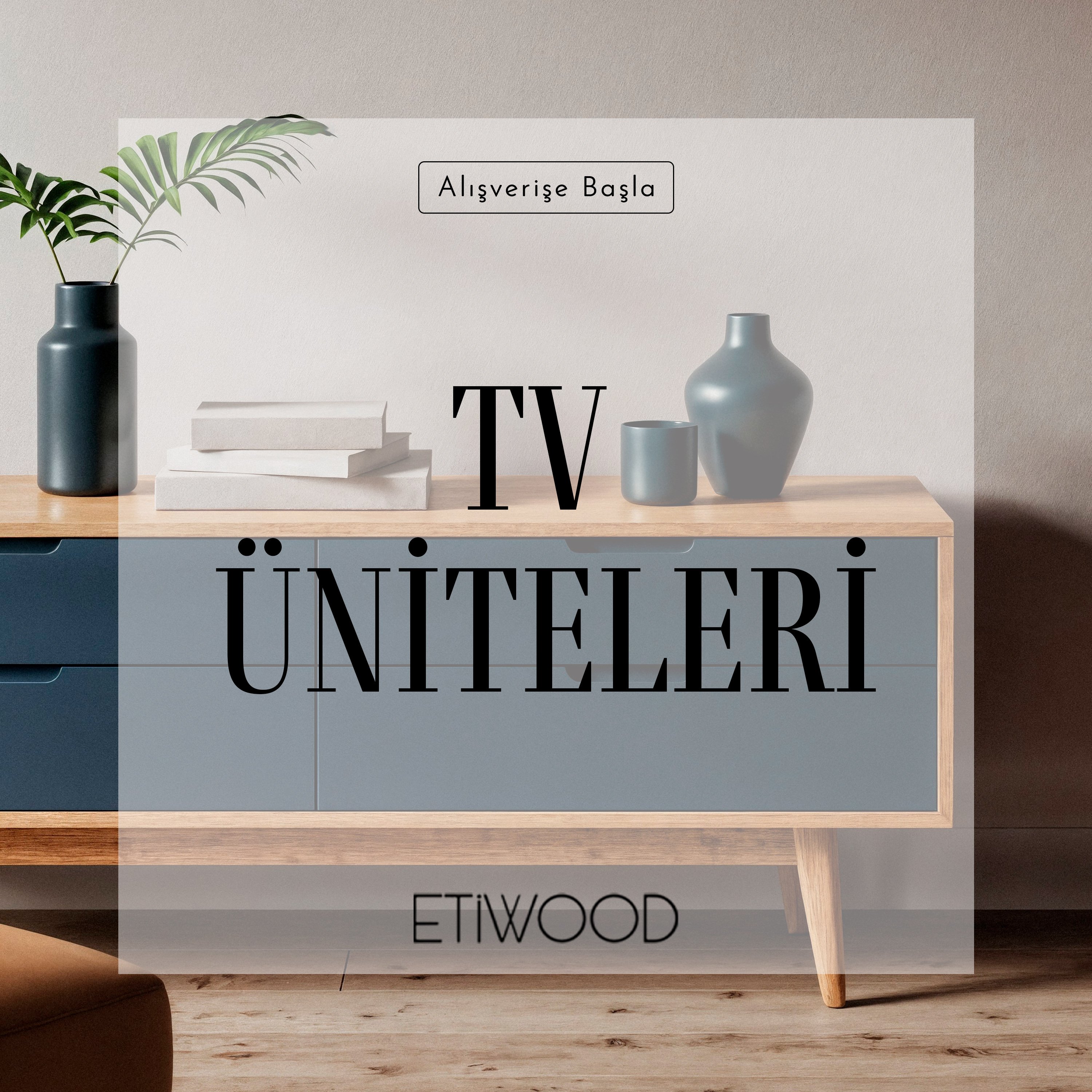 TV ÜNİTELERİ