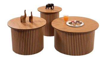 Pena Meşe Sehpa Seti