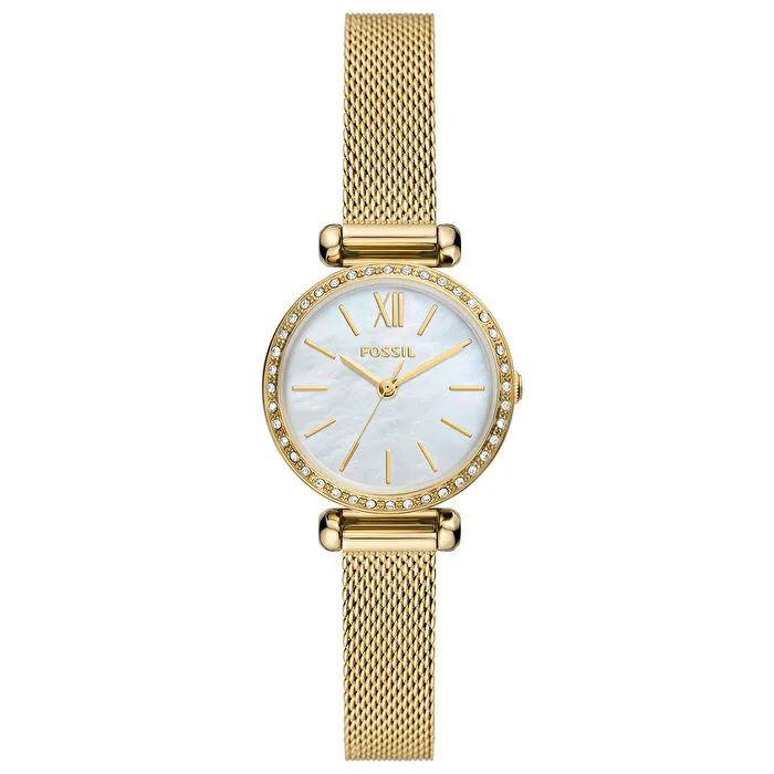 FOSSIL BQ3898 Kadın Kol Saati