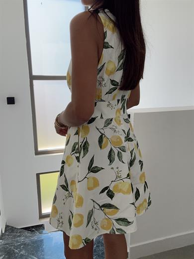 Ekru Lui Dalira Elbise