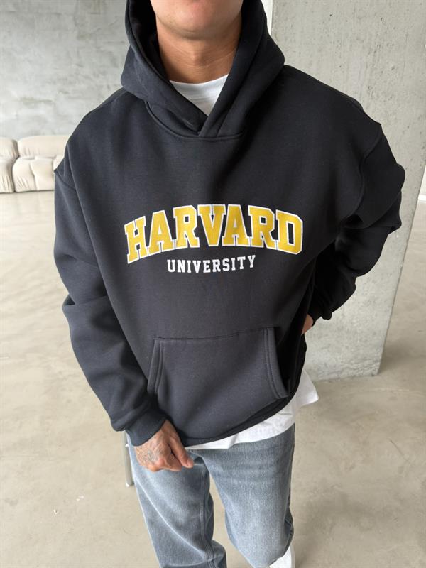 Harvard Sweatshirt - Lavicert