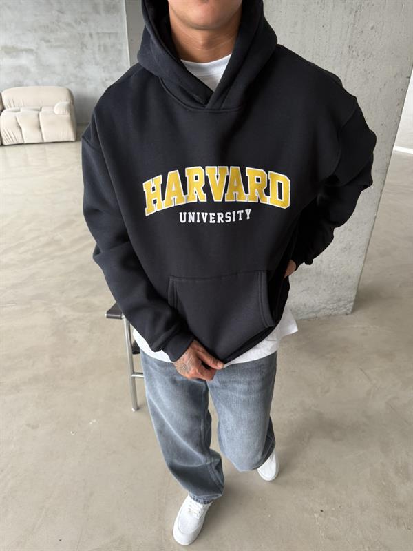 Harvard Sweatshirt - Lavicert