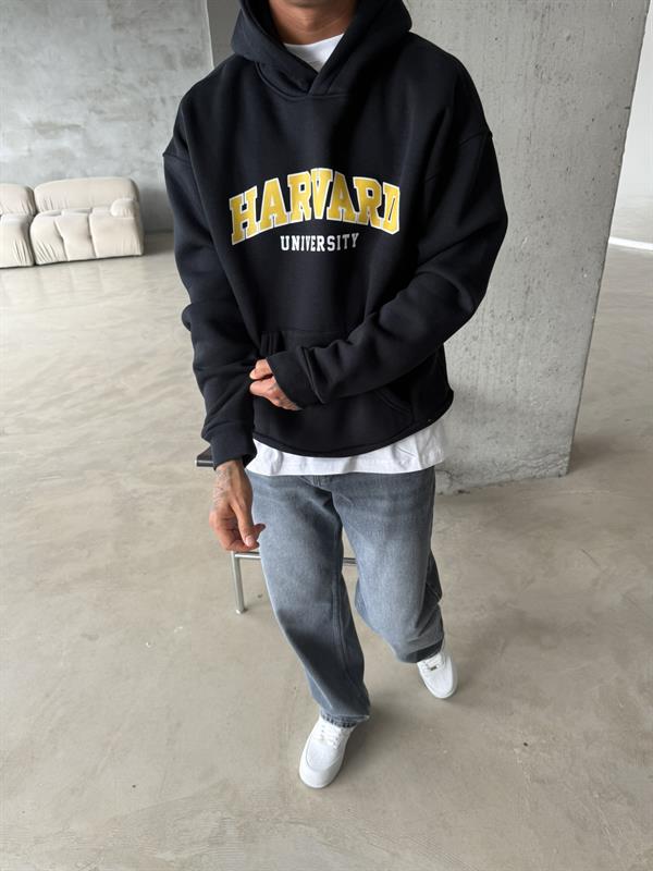 Harvard Sweatshirt - Lavicert