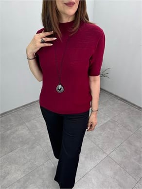 Yarım Balıkçı Kısa Kol Triko 3869