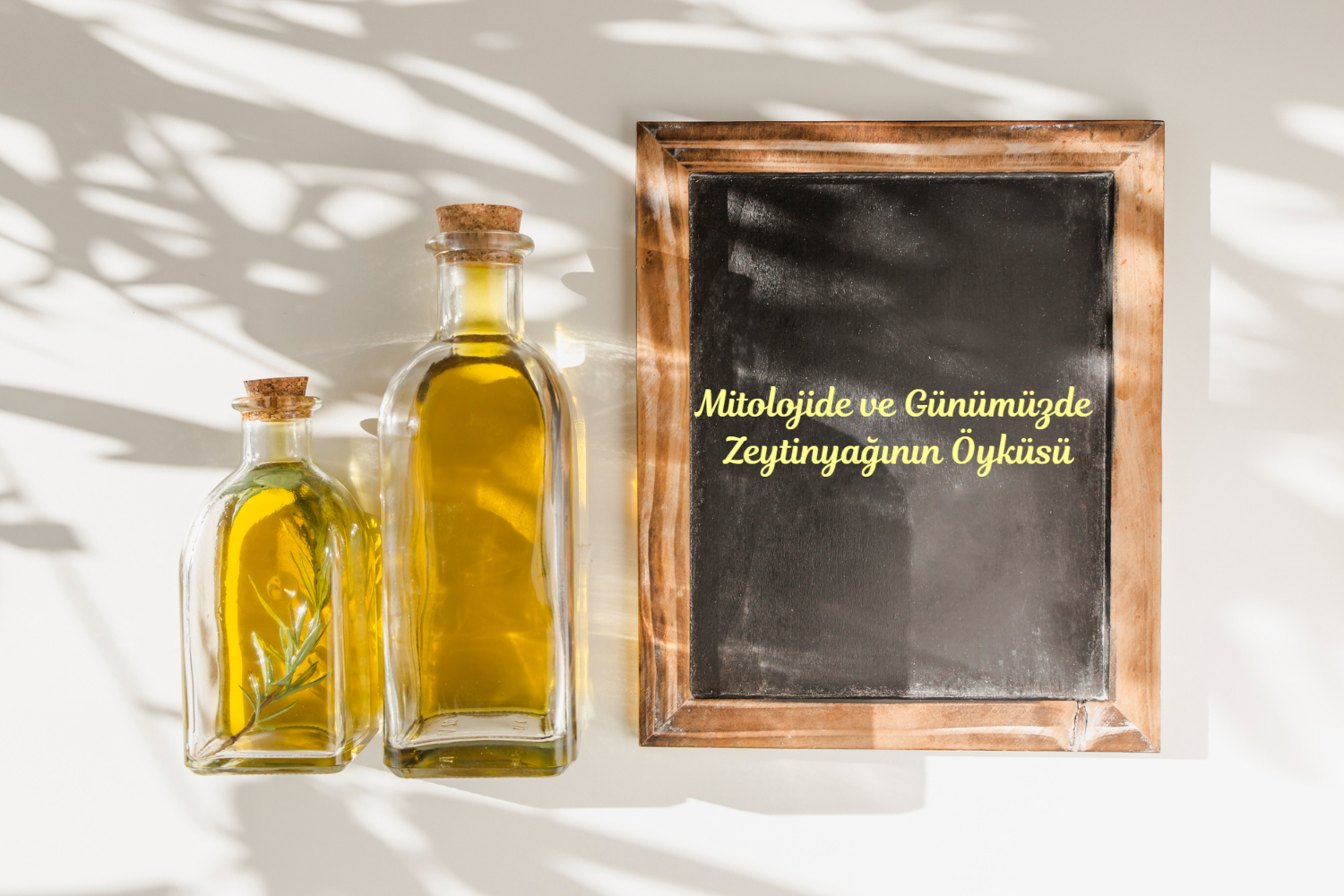 Organik tarım, Organik gıdalar, Ecocert sertifika, sağlıklı beslenmek, organik sızma zeytinyağı, organik zeytinyağı çeşitleri, sağlık, organik ürünler, organik gıda tüketmek, organik gıda, sağlıklı beslenmek, organik,
