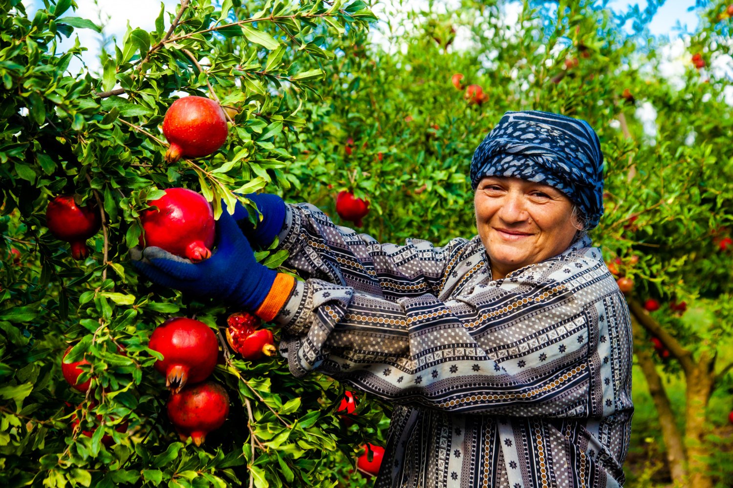 Organik tarım, biyolojik çeşitliliğin korunması Organik tarım, Organik gıdalar, çevreye karşı sorumluluk, Ecocert sertifika, sağlıklı beslenmek, sağlık, organik ürünler, organik gıda tüketmek, yerli üretici,