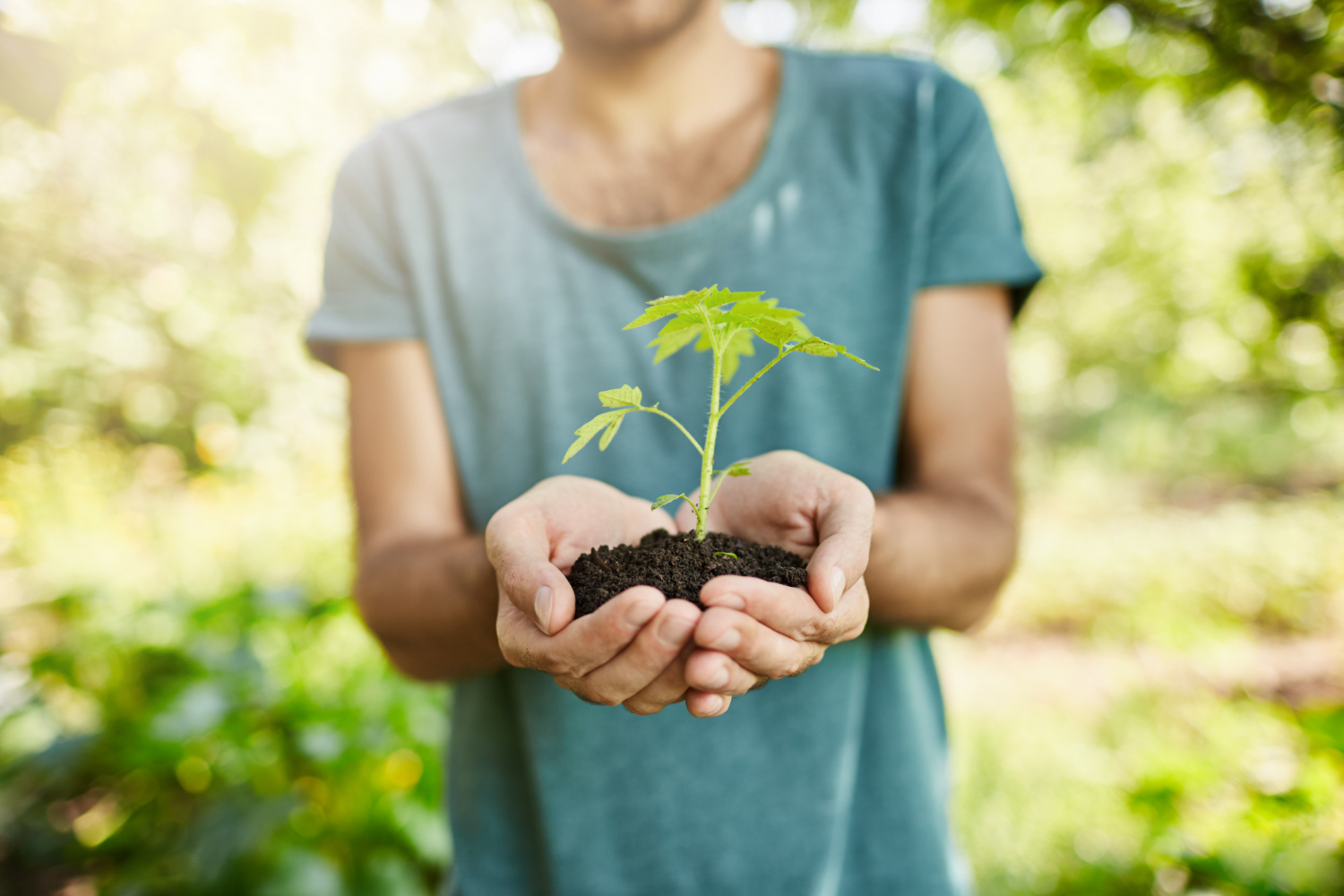 Organik tarım, sertifikalı organik gıda nedir, Organik gıdalar, Ecocert sertifika, sağlıklı beslenmek, doğal bir yaşam, sağlık, organik ürünler, organik gıda tüketmek, organik gıda, sağlıklı beslenmek, ecocert sertifikanın önemi