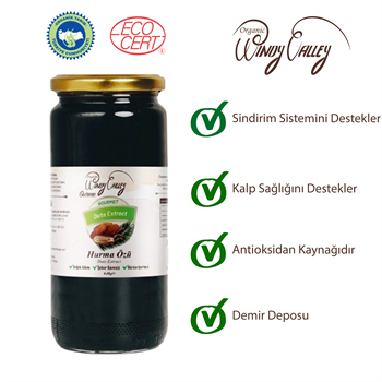 Gurme Hurma Özü (640 gr) Soğuk sıkım, Şeker ilavesiz, Gluten içermez  