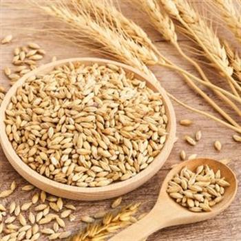 Organik Arpa şehriye-Tel şehriye ikili paket (500gr+500gr) Yerli ürün 