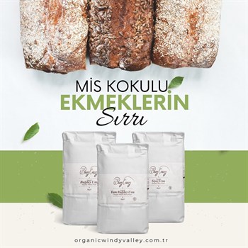 Organik Buğday Unları Seti; Buğday unu ( 1 Kg), Tam Buğday unu ( 1 Kg), Siyez unu ( 1 Kg) Yerli Üretim 