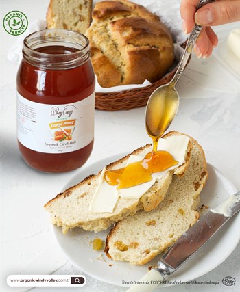 Organik Süzme Çiçek Balı (500 gr) 