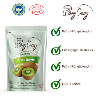 Organik  Kivi Cipsi (20 gr) 