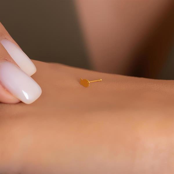 14 Ayar Altın Balık Model Geçmeli Hızma