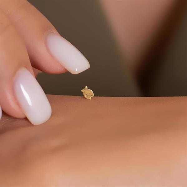 14 Ayar Altın Balık Model Geçmeli Hızma