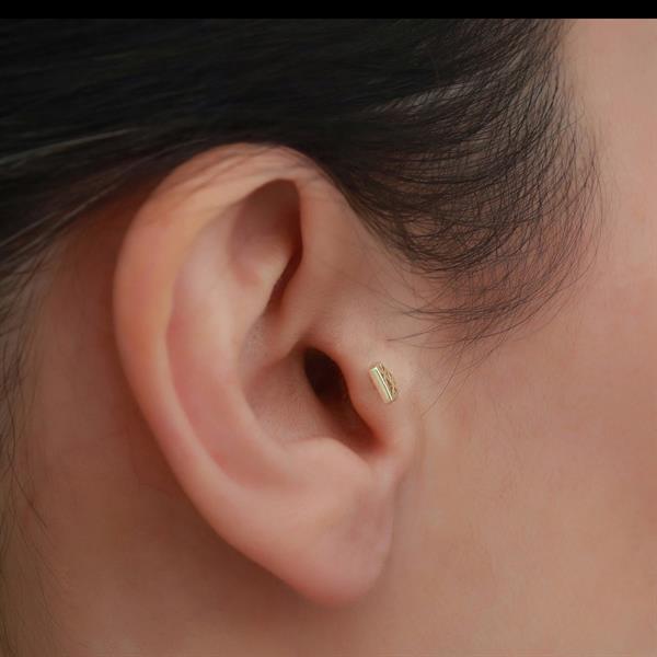 14 Ayar Altın Elmas Figürlü Tragus