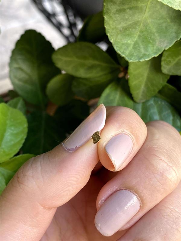 14 Ayar Altın Kıvrımlı Geçmeli Hızma