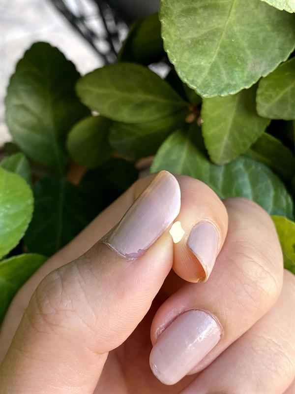 14 Ayar Altın Kıvrımlı Geçmeli Hızma