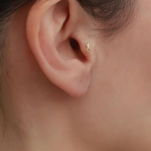 14 Ayar Altın Kelebek Tragus Piercing
