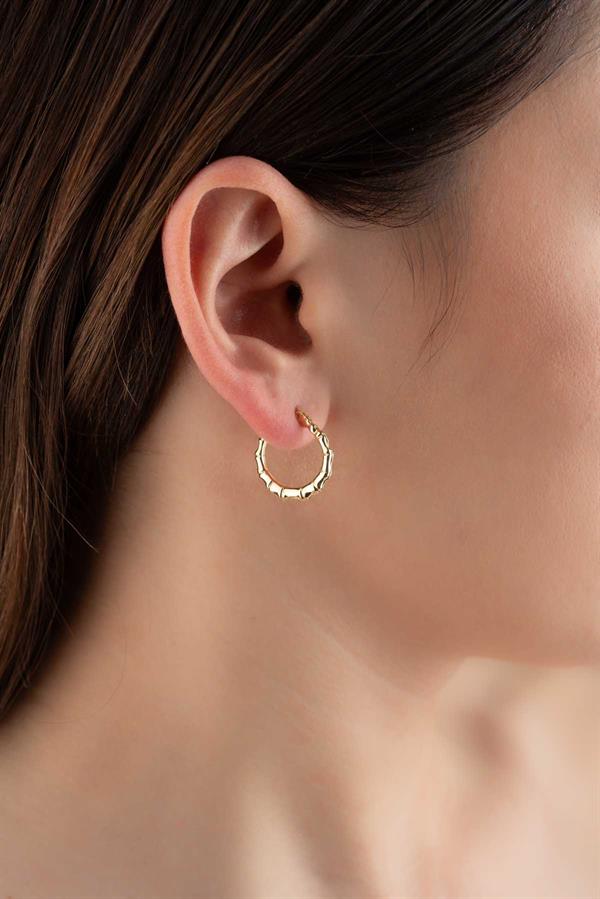 14 Ayar Altın Orta Boy Deniz Atı Halka Küpe 1.8 cm