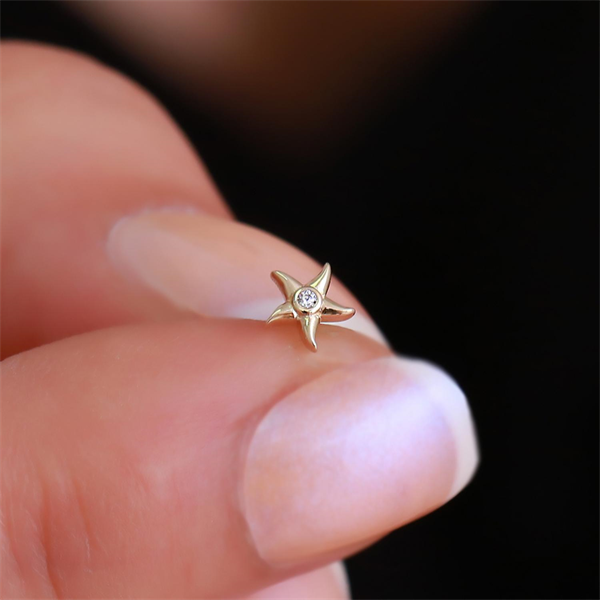 14 Ayar Altın Taşlı Deniz Yıldızı Tragus Piercing