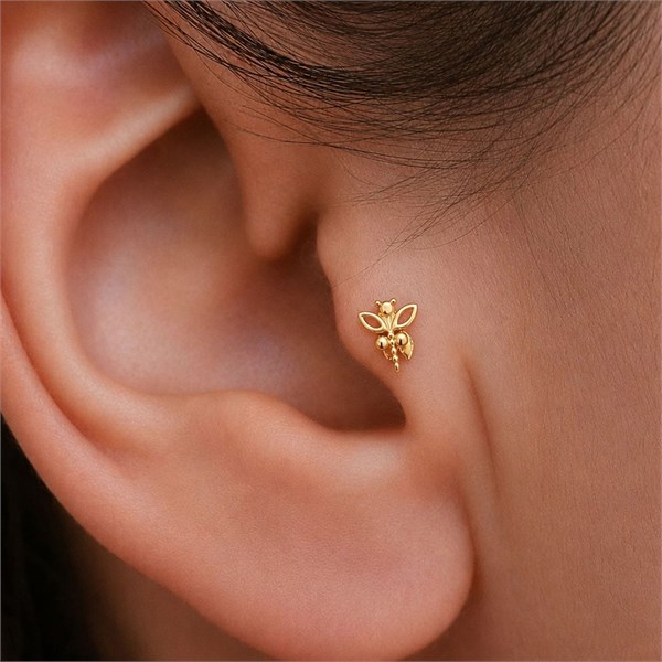 14 Ayar Altın Yusufçuk Tragus Piercing